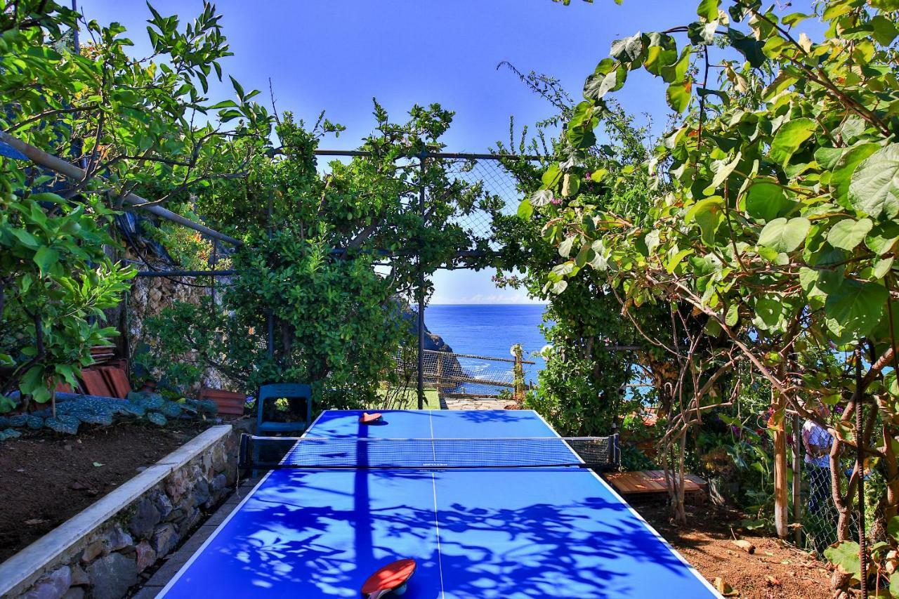 5 Terre For Holiday home