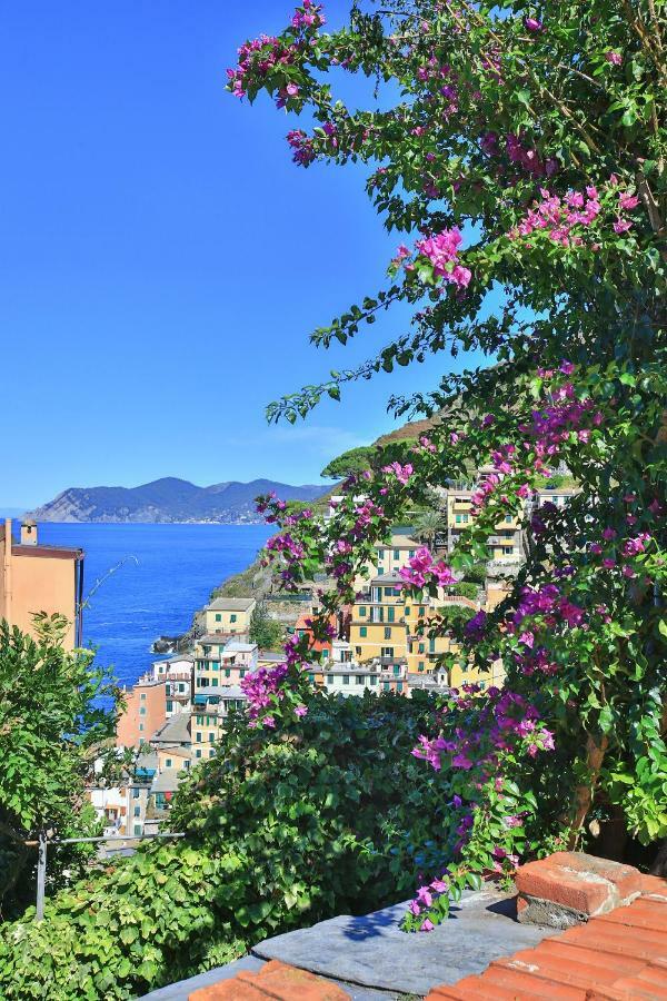 5 Terre For Riomaggiore