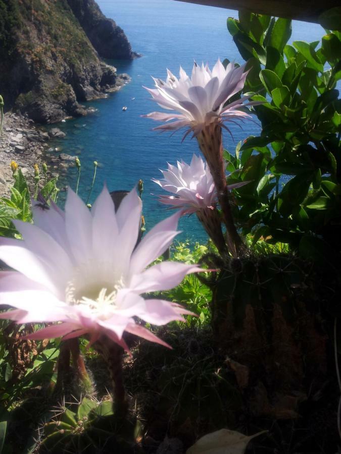 5 Terre For * Riomaggiore