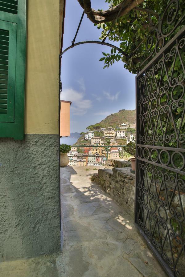 5 Terre For Holiday home *